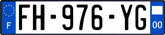 FH-976-YG