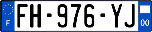 FH-976-YJ