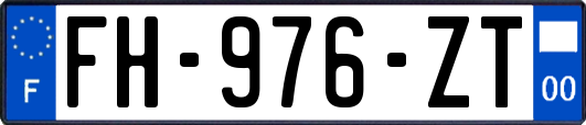 FH-976-ZT