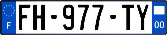 FH-977-TY