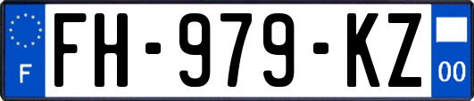 FH-979-KZ