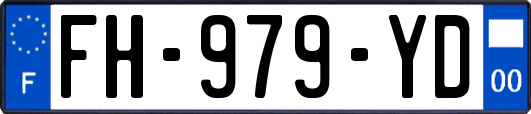 FH-979-YD