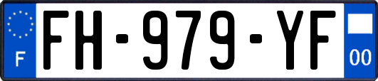 FH-979-YF