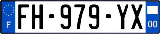 FH-979-YX