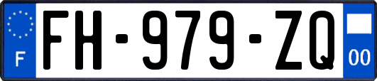 FH-979-ZQ