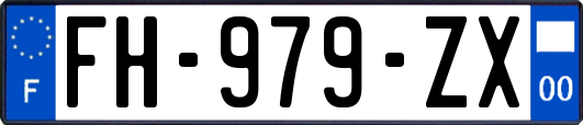 FH-979-ZX