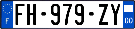 FH-979-ZY