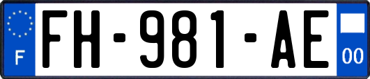 FH-981-AE