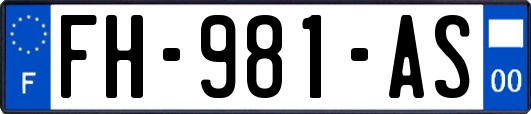 FH-981-AS