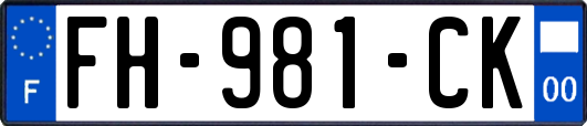 FH-981-CK