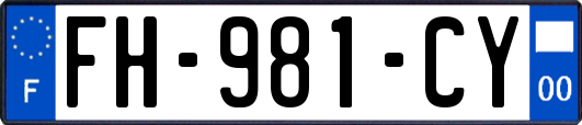 FH-981-CY