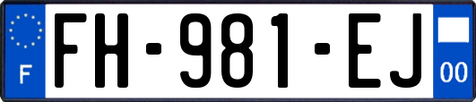 FH-981-EJ