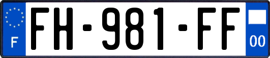 FH-981-FF
