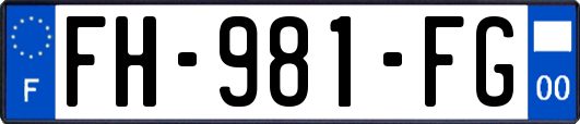 FH-981-FG