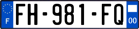 FH-981-FQ