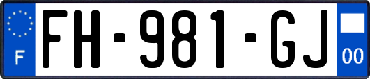 FH-981-GJ