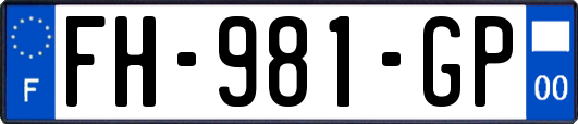 FH-981-GP
