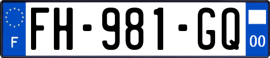 FH-981-GQ