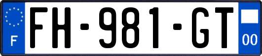 FH-981-GT