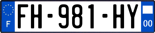 FH-981-HY