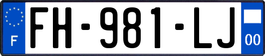 FH-981-LJ