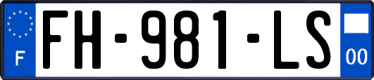 FH-981-LS