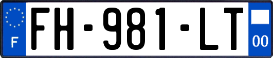 FH-981-LT