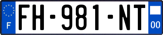 FH-981-NT