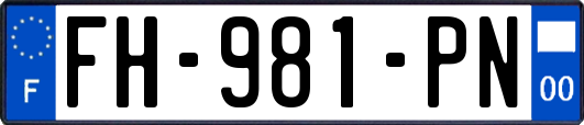 FH-981-PN