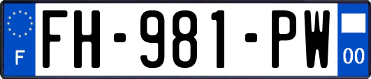 FH-981-PW