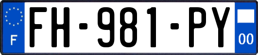 FH-981-PY