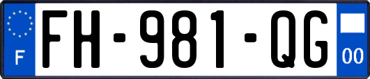 FH-981-QG
