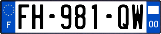 FH-981-QW