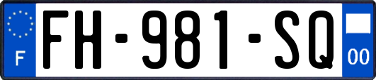 FH-981-SQ