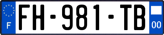 FH-981-TB