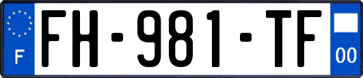 FH-981-TF