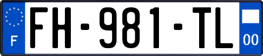 FH-981-TL