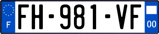 FH-981-VF