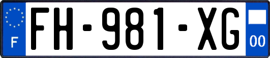 FH-981-XG