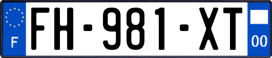 FH-981-XT