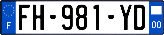 FH-981-YD
