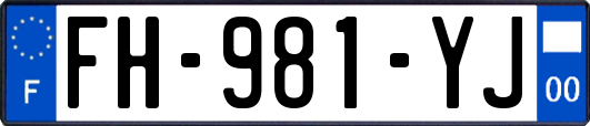 FH-981-YJ
