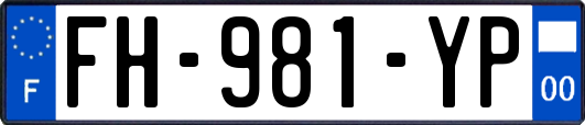 FH-981-YP