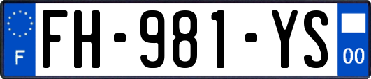 FH-981-YS