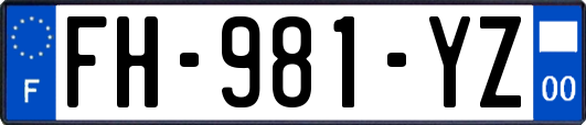 FH-981-YZ