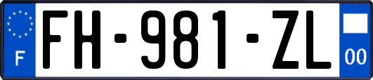 FH-981-ZL