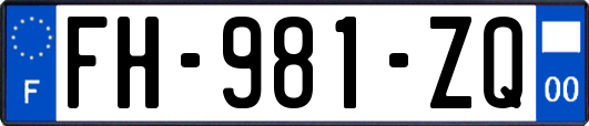 FH-981-ZQ