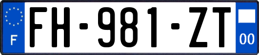 FH-981-ZT