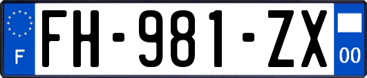 FH-981-ZX