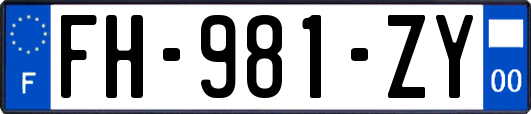 FH-981-ZY